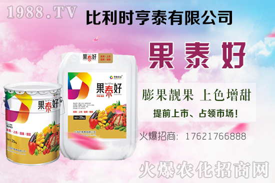 油茶樹的價格怎樣？種植前景如何？油茶樹畝產(chǎn)效益分析！