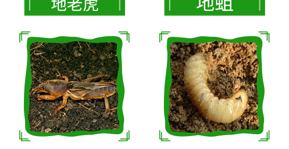 20%氟氰·辛硫磷-帥方-加號農(nóng)業(yè)_12