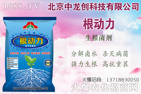 ���}���������������Щ�����}��ʩ�ʼ��g(sh��)Ҫ�c��