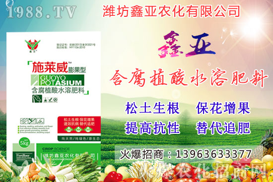 �Zʳ�q�r(ji��)��20209��17��С���r(ji��)��������Σ�