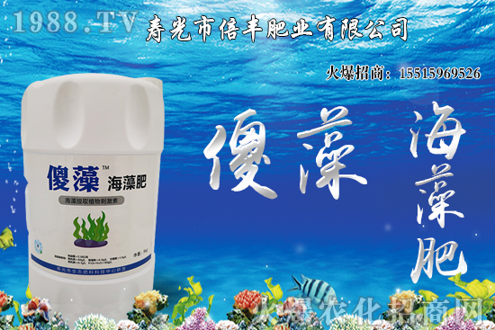 市場逐步回歸正常基本面，大豆價格沖高回落！