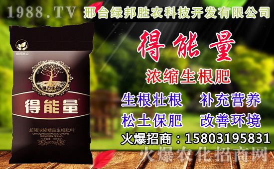 2020��С���N������x���߮a(ch��n)С��Ʒ�N����Щ��