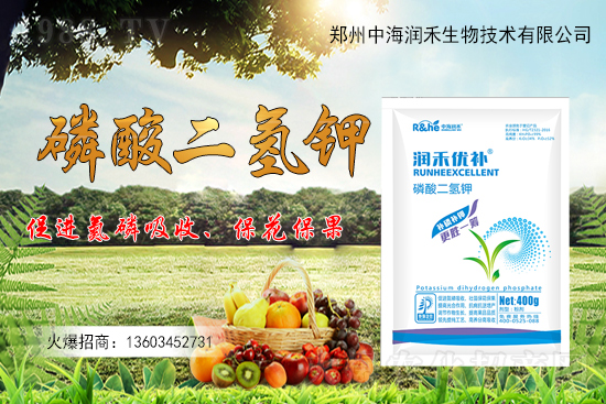 ����һ���굽��ԓ��ôʩ��������ʩ��ע�����(xi��ng)����Щ��