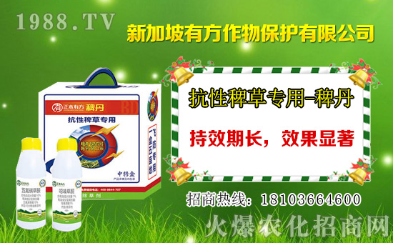 2021��2��17�ձ��ݰ����݄��r���߄�