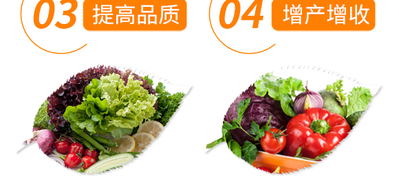 ������������-���r(n��ng)����(y��u)ؐ-���r(n��ng)����_07