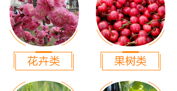 ������������-���r(n��ng)����(y��u)ؐ-���r(n��ng)����_10