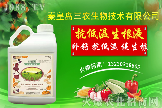 2021年1月30日國內(nèi)大豆現(xiàn)貨價格