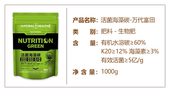 �������̼-�f(w��n)������_02