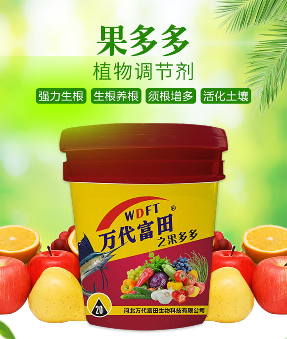 �����-�f������_01