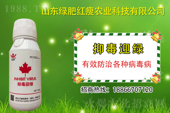 ���β�������Ҳ���ð������ֶ�ӭ�G�����β�������