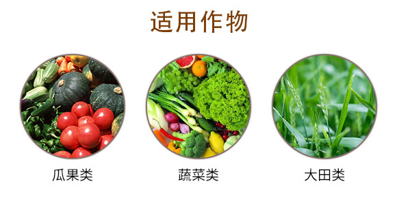 �������̼-�f(w��n)������_04