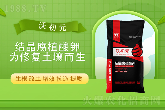 ⛷ʃr��߀���q����10��22��⛷ʃr������