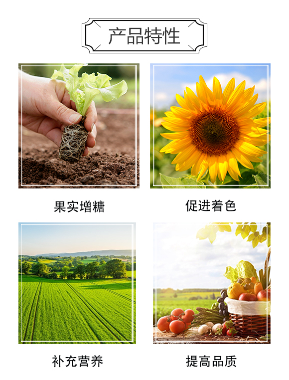 һ��(hu��)�r(n��ng)�I(y��)_03