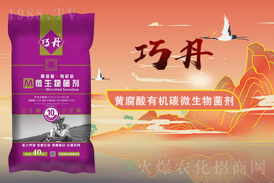 �����P(gu��n)ϵ�����A��ɽ�|�f��ȵ��m(x��)�s1988.TV��