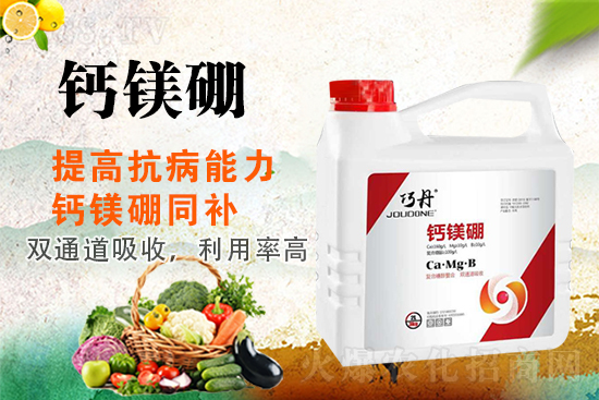 �����P(gu��n)ϵ�����A��ɽ�|�f��ȵ��m(x��)�s1988.TV��