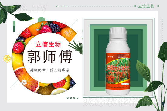 ���������m(x��)�s1988.TV���y�ֹ���(chu��ng)���x�ͣ�