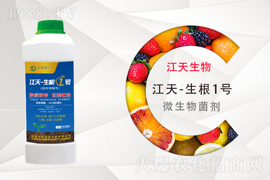 ⛷ʶ����Xһ����11��11�ո���⛷ʃr(ji��)������