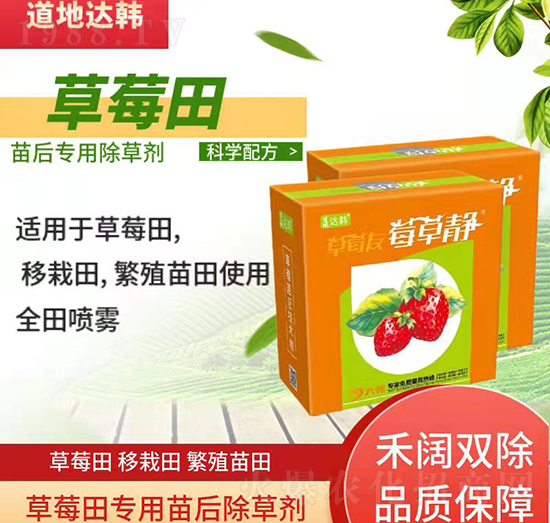 草莓育苗期間使用哪種除草劑?草莓除草劑使用方法!
