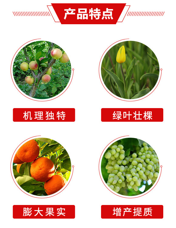 犽滿匠人-加號農業(yè)_03