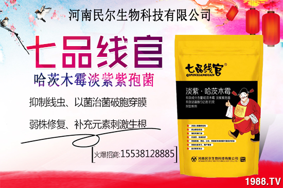 雪桃苗價(jià)格多少錢(qián)一株？雪桃種植前景怎樣？