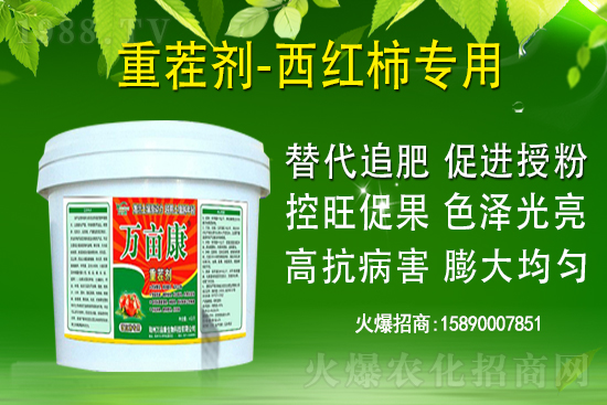 為什么果樹促梢建議用硝酸銨鈣，不建議用尿素？