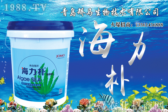 雪桃苗價格多少錢一棵？2021年種植雪桃能賺錢嗎？