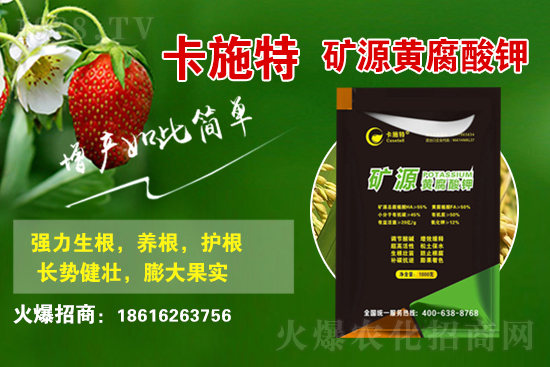 ���ջ����r(ji��)������Xһ����2021��3��19�ջ����r(ji��)������