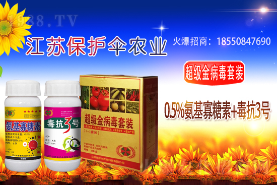 �׾����������r(n��ng)ˎ�r��2021.3.2