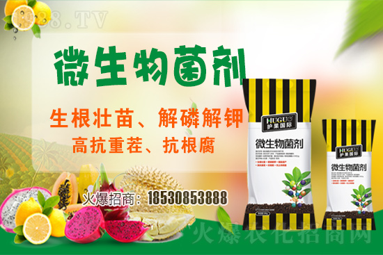 ��ݮ�����F(xi��n)���l���l(f��)������ҪԴ��ʲô������