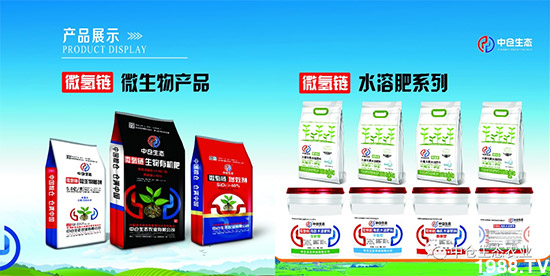 ���˟o(w��)ζ���ϲ����������㡱�ǻ����ǵĵ���