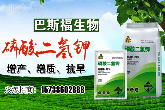 小麥價格現(xiàn)在多少錢一斤?后期行情走勢如何?