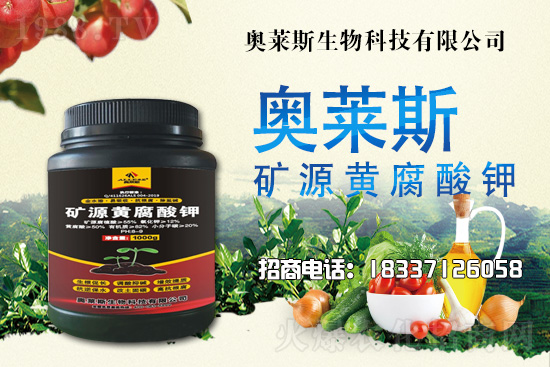 靈芝生產(chǎn)季節(jié)是什么時(shí)候？靈芝熟料段木仿生栽培技術(shù)！