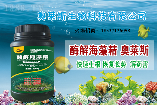 �󶹃r(ji��)��߀��(hu��)�ϝq�������մ󶹃r(ji��)������