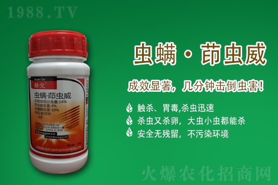 ����嚢�x���r��2021.4.27