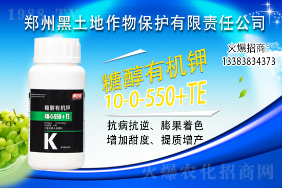 ⛷ʃr(ji��)���j��500Ԫ/����2021��6��15��⛷ʃr(ji��)������