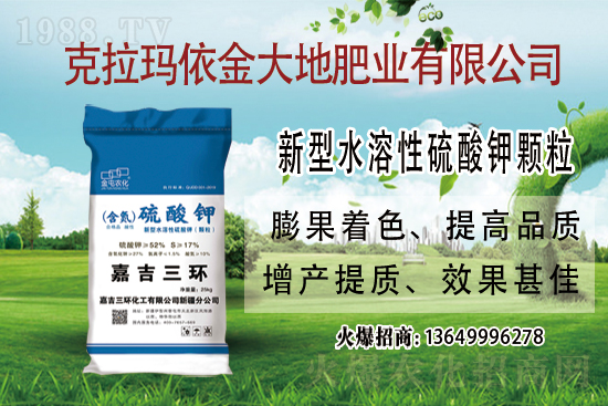 2021.6.2���ڇ���⛷ʃr���߄ݷ���