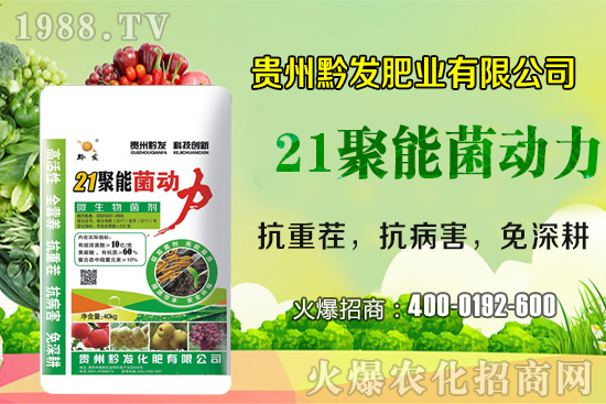 ǭ�l(f��)�ʘI(y��)�ٶȔy��1988.TV���y�ִ����������E��