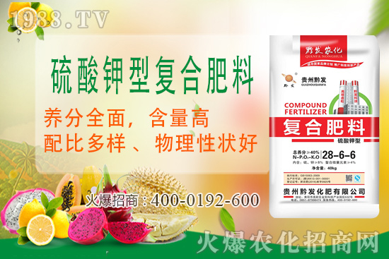 ǭ�l(f��)�ʘI(y��)�ٶȔy��1988.TV���y�ִ����������E��