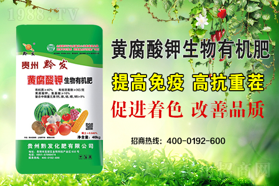 ǭ�l(f��)�ʘI(y��)�ٶȔy��1988.TV���y�ִ����������E��