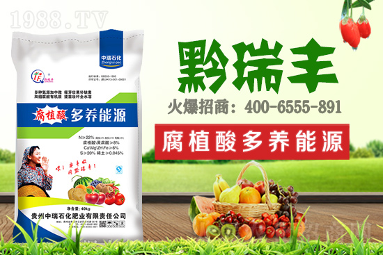     ����ʯ���ʘI(y��)�𱬁��u���ٺ����r(n��ng)�����̾W(w��ng)���_��(chu��ng)���x����