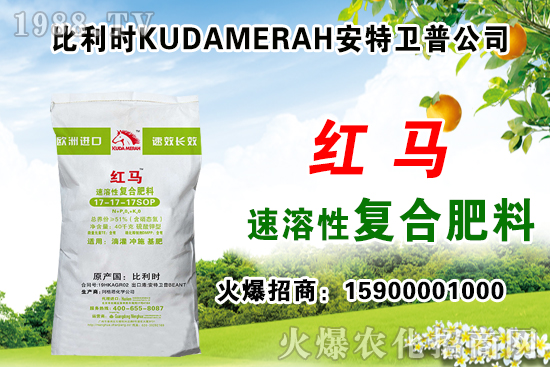 ���B�ďͺϷʃr����2021.6.12�A�е؅^(q��)�ͺϷʃr������