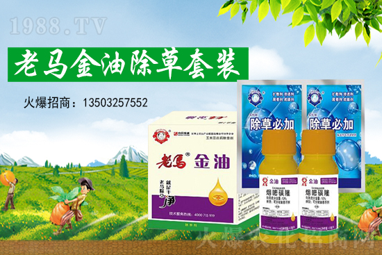 2021��7��13�ճ��݄�ԭˎ�r(ji��)������