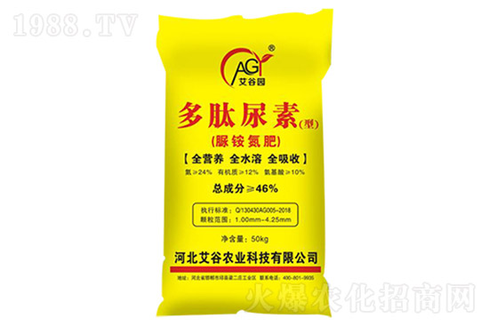 ���؃r���B�m(x��)�ϝq�����؅^(q��)���؃r���Ո�7��17�գ�