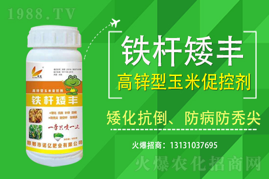 玉米價格行情2021年7月19日