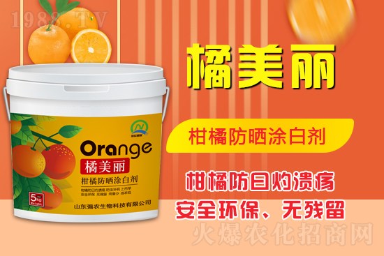 ���\(ch��ng)���������Aδ��(l��i)��ɽ�|��(qi��ng)�r(n��ng)�����ٺ�1988.TV���ل�(chu��ng)���x����