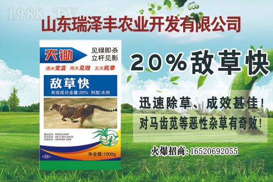 2021��8��1�մ󶹳��݄��r��