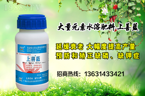 �V���������r(n��ng)�ٶȔy��1988.TV���y�ֹ���(chu��ng)��(zh��n)����