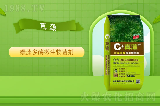 �Ȼ�⛃r(ji��)��ƽ��(w��n)��2021��9��2�Շ���(n��i)⛷ʃr(ji��)���߄�