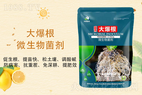 ���@�r(ji��)��ַ�(w��n)��2021��9��3�����@�r(ji��)���������