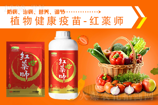 ���@�r���λ��ͦ��2021.9.4�������@�r�����飺